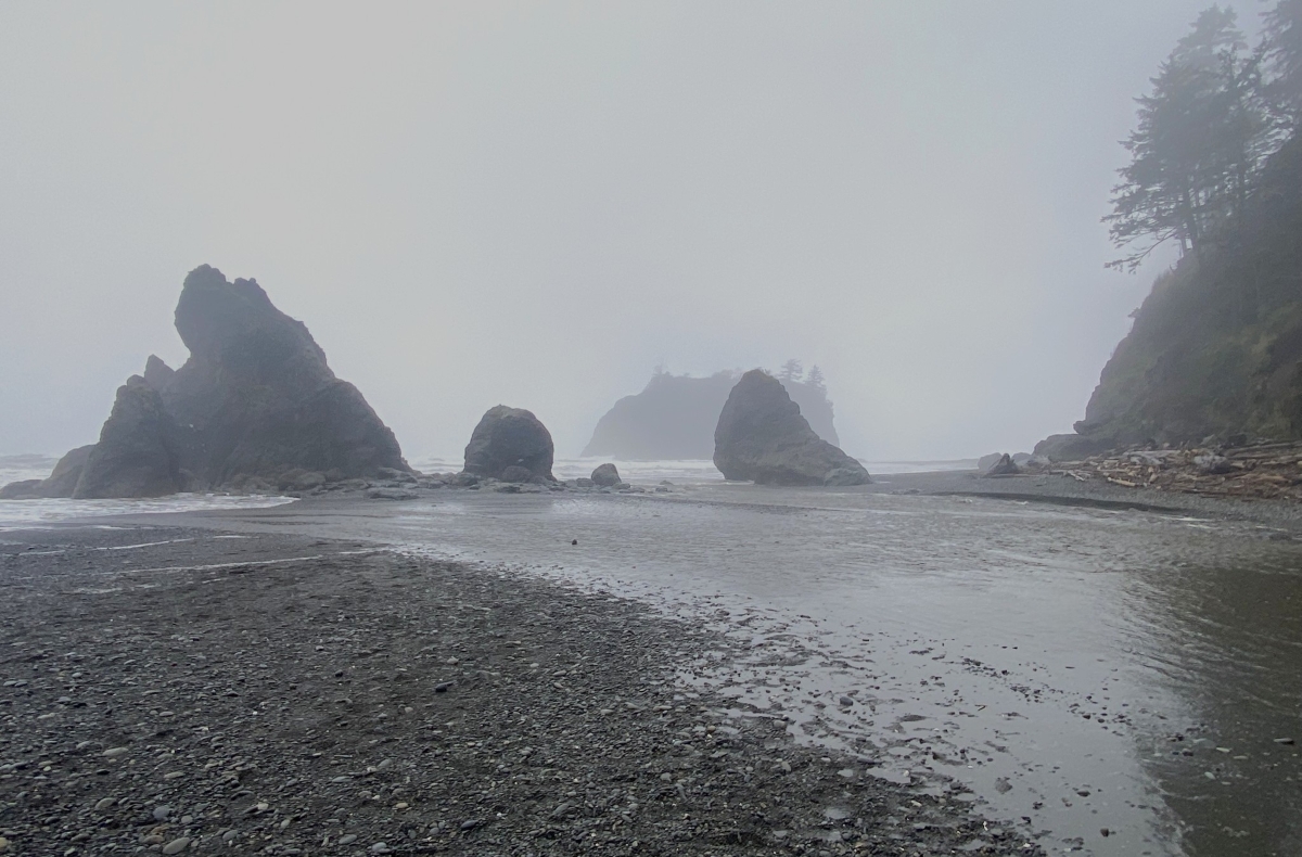 Cannon Beach To The Olympic Peninsula: A Journey Along The Coast 